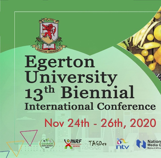13th Conference Poster