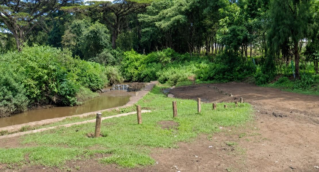Njoro River Rehabilitation