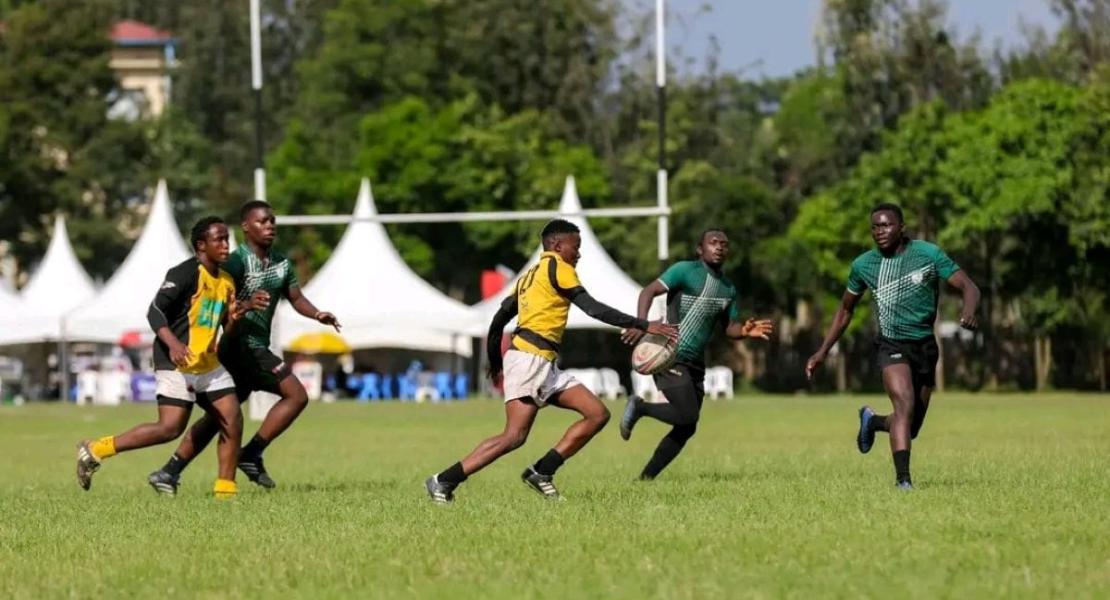 Egerton Wasps