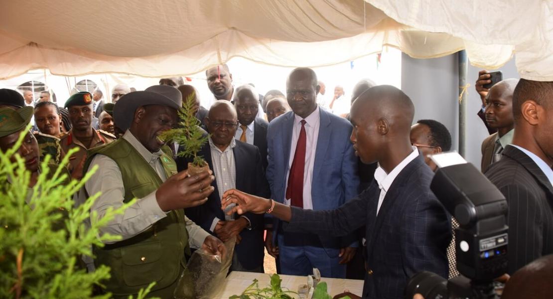 Egerton University supporting the presidents 15 billion trees planting initiative