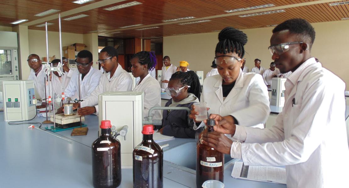 lab